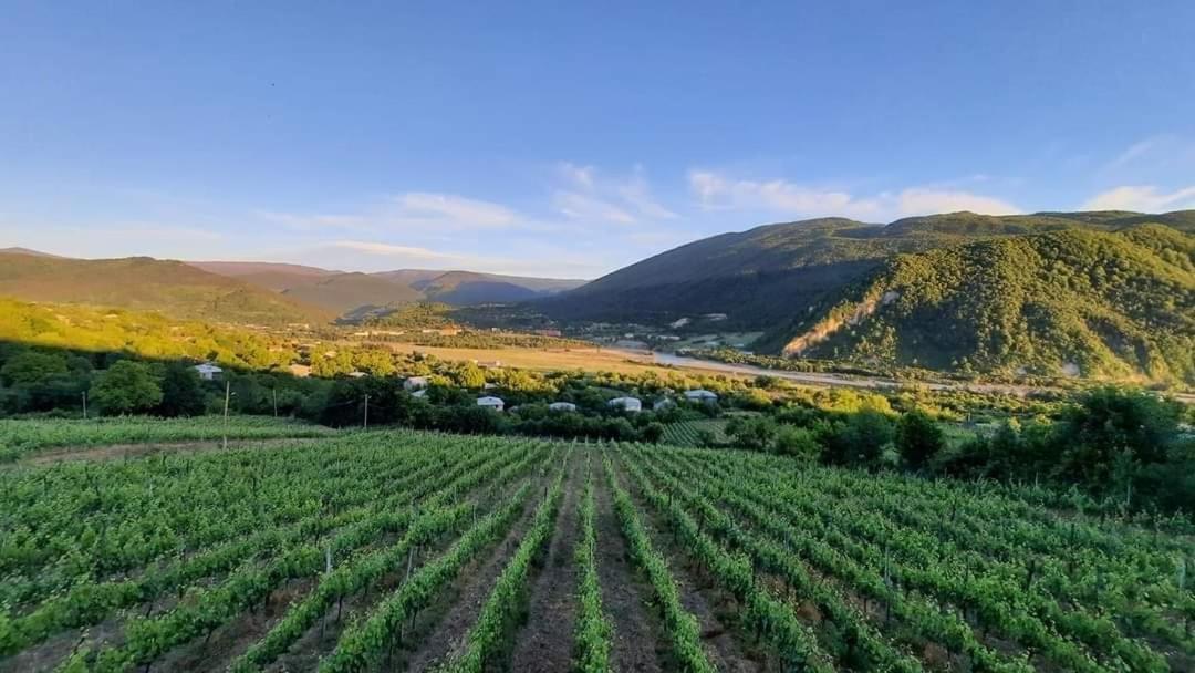 Chateau Dio Ambrolauri Εξωτερικό φωτογραφία