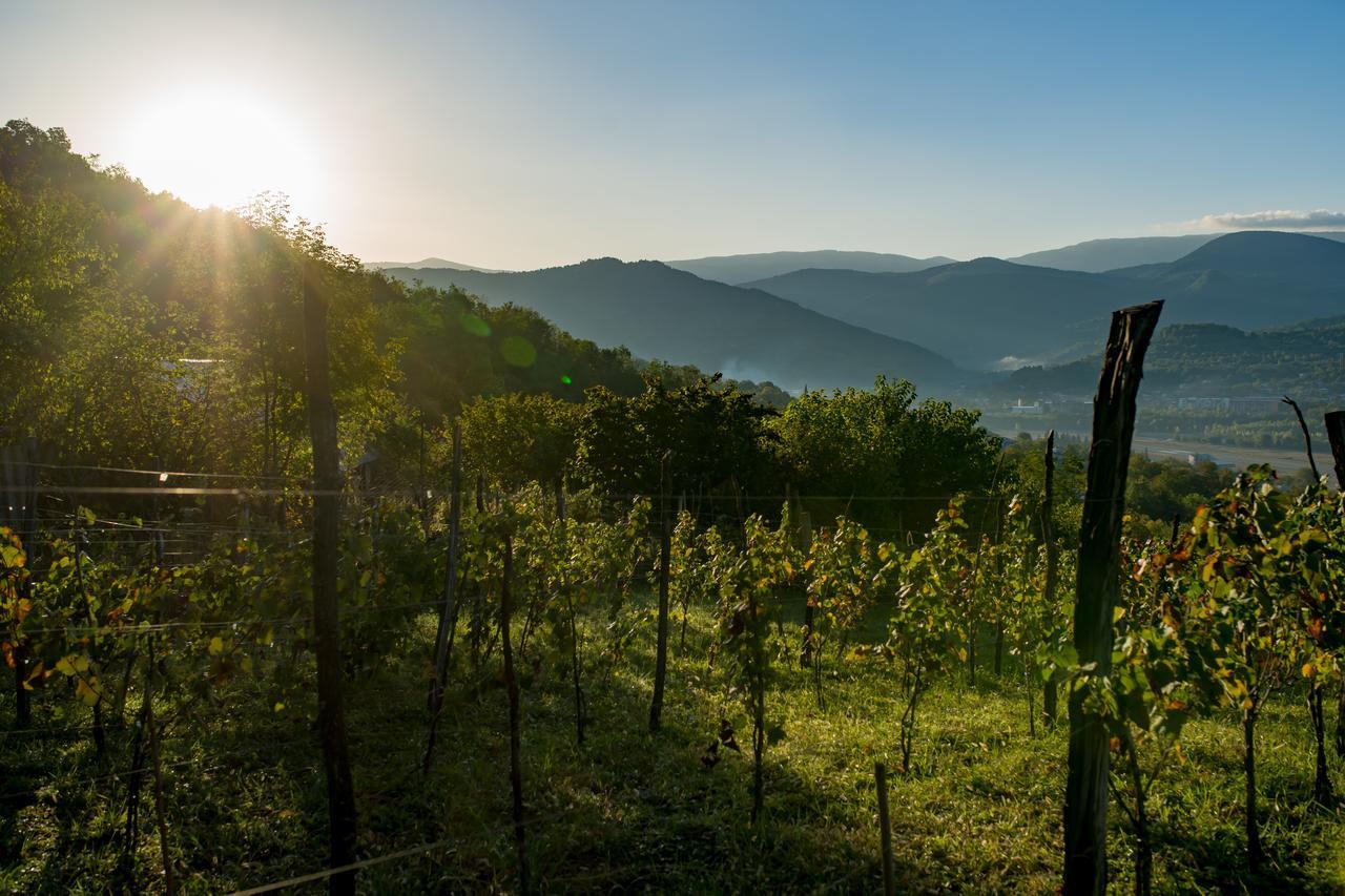 Chateau Dio Ambrolauri Εξωτερικό φωτογραφία
