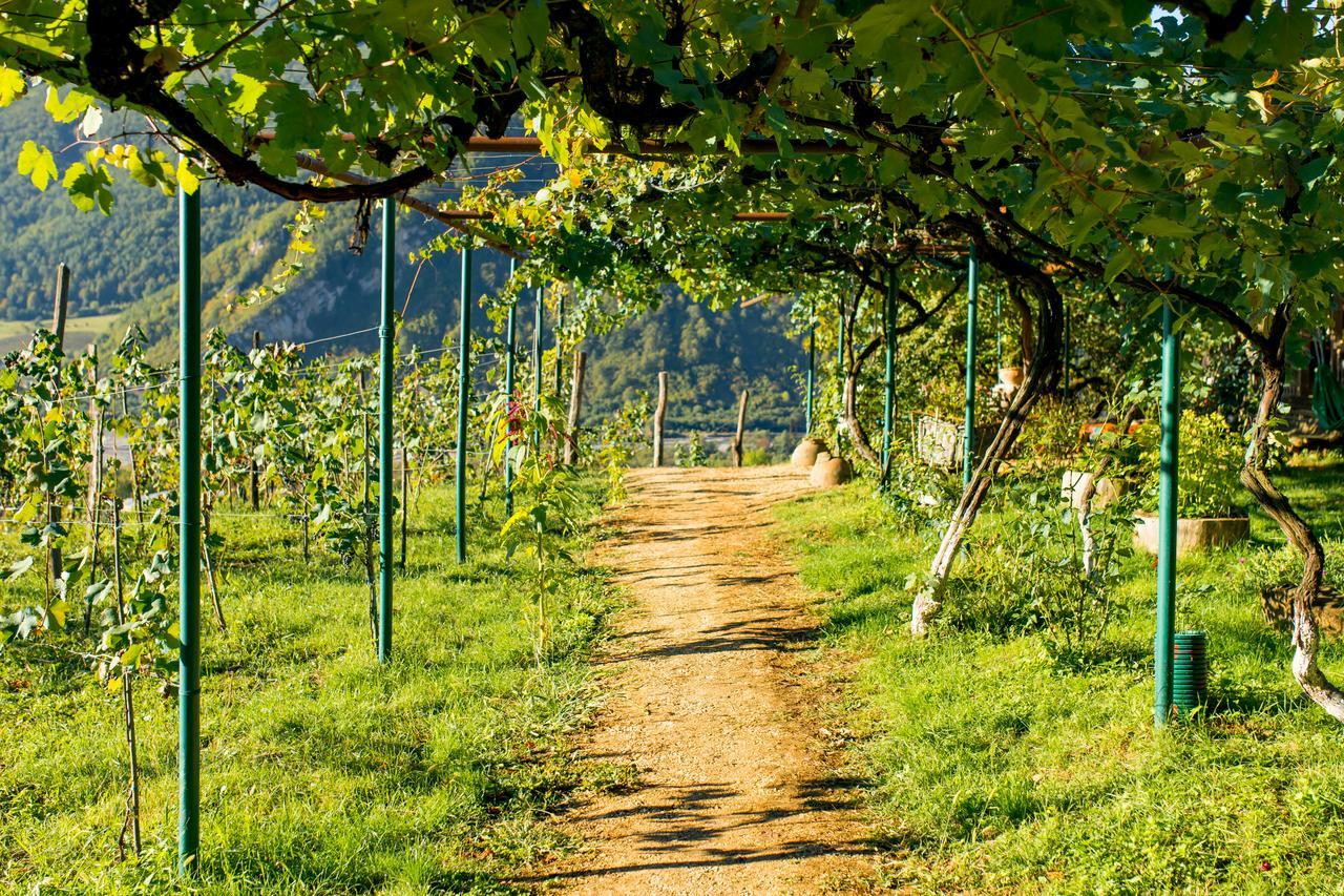 Chateau Dio Ambrolauri Εξωτερικό φωτογραφία