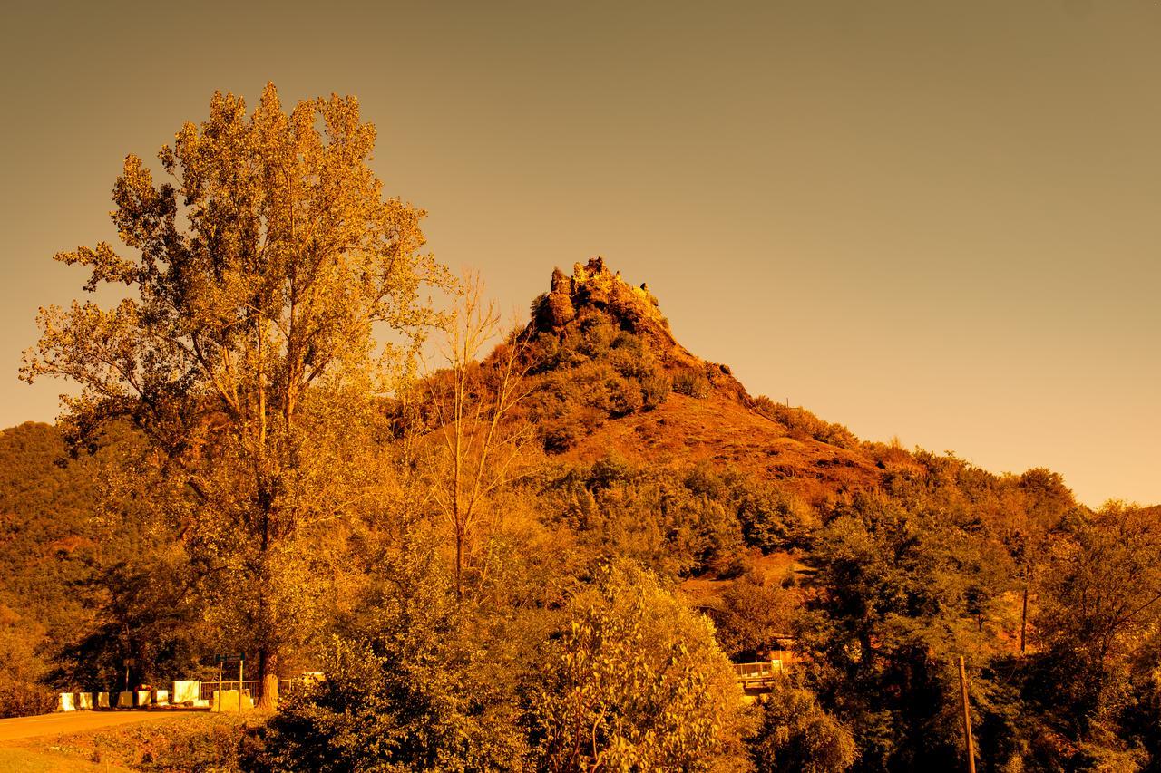 Chateau Dio Ambrolauri Εξωτερικό φωτογραφία