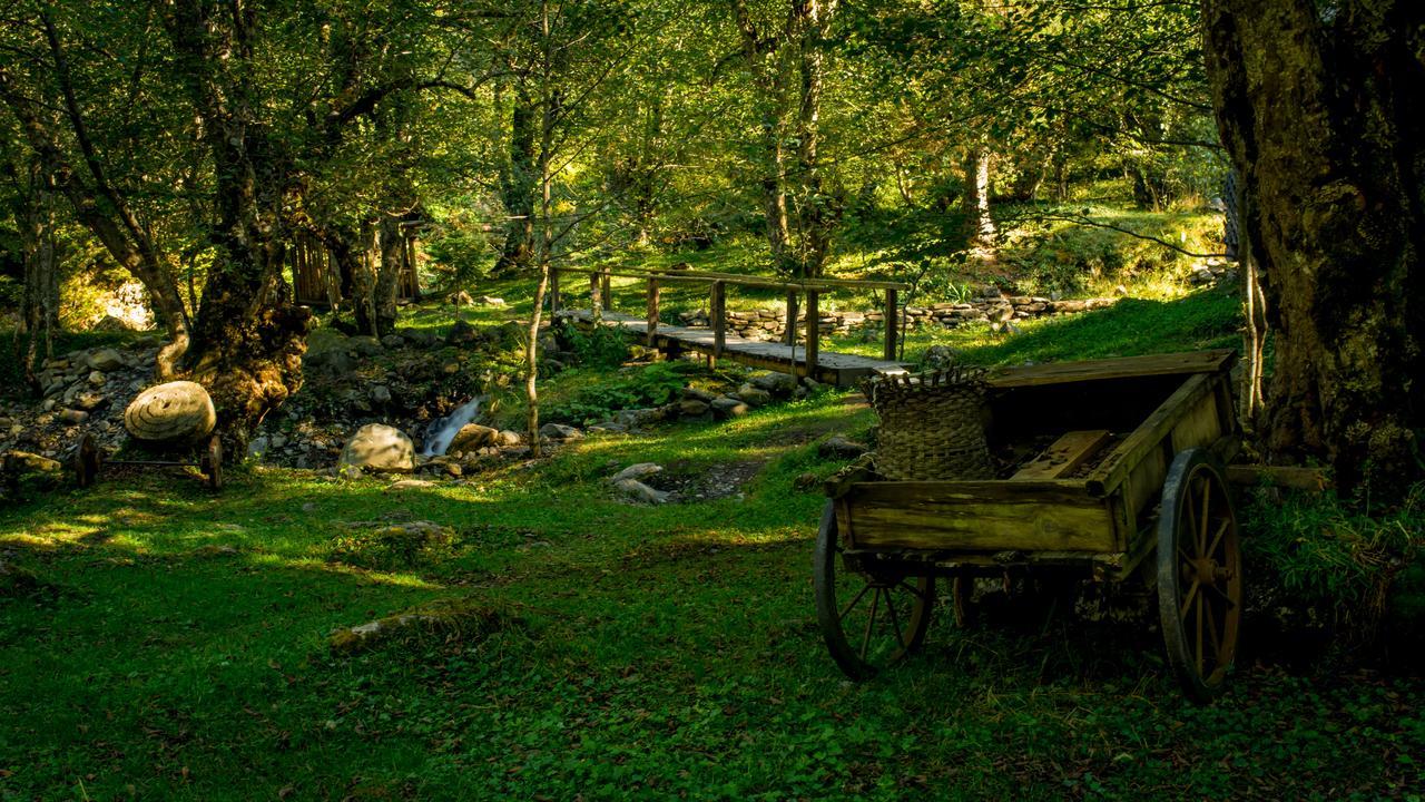 Chateau Dio Ambrolauri Εξωτερικό φωτογραφία