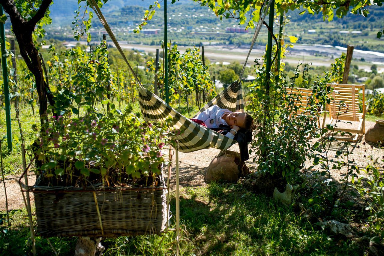 Chateau Dio Ambrolauri Εξωτερικό φωτογραφία